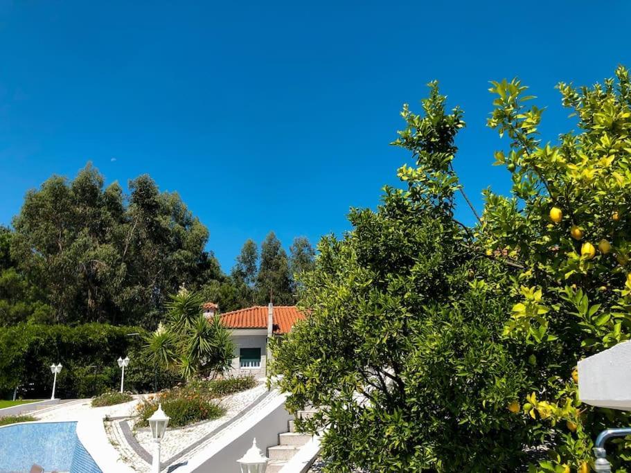 Maison Familiale De Caractere Avec Piscine Padronelo Esterno foto
